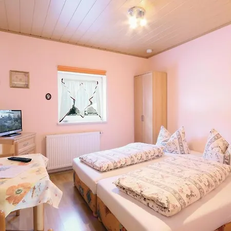 Amazing In Auerbach-ot Rempesgruen With Wifi Holiday home *