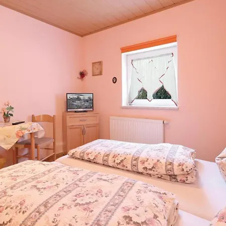 Amazing In Auerbach-ot Rempesgruen With Wifi