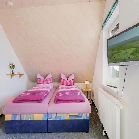 Holiday home Amazing In Auerbach-ot Rempesgruen With Wifi